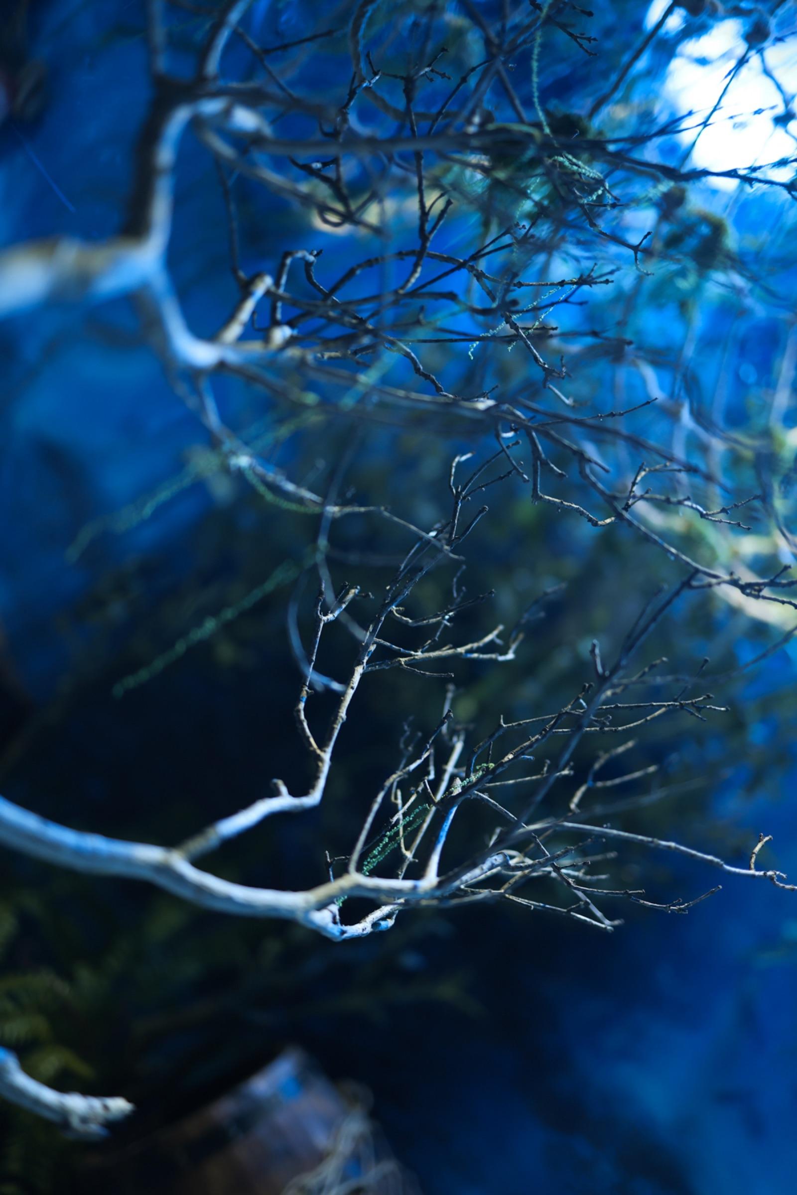 Uncharted Water thumbnail 3