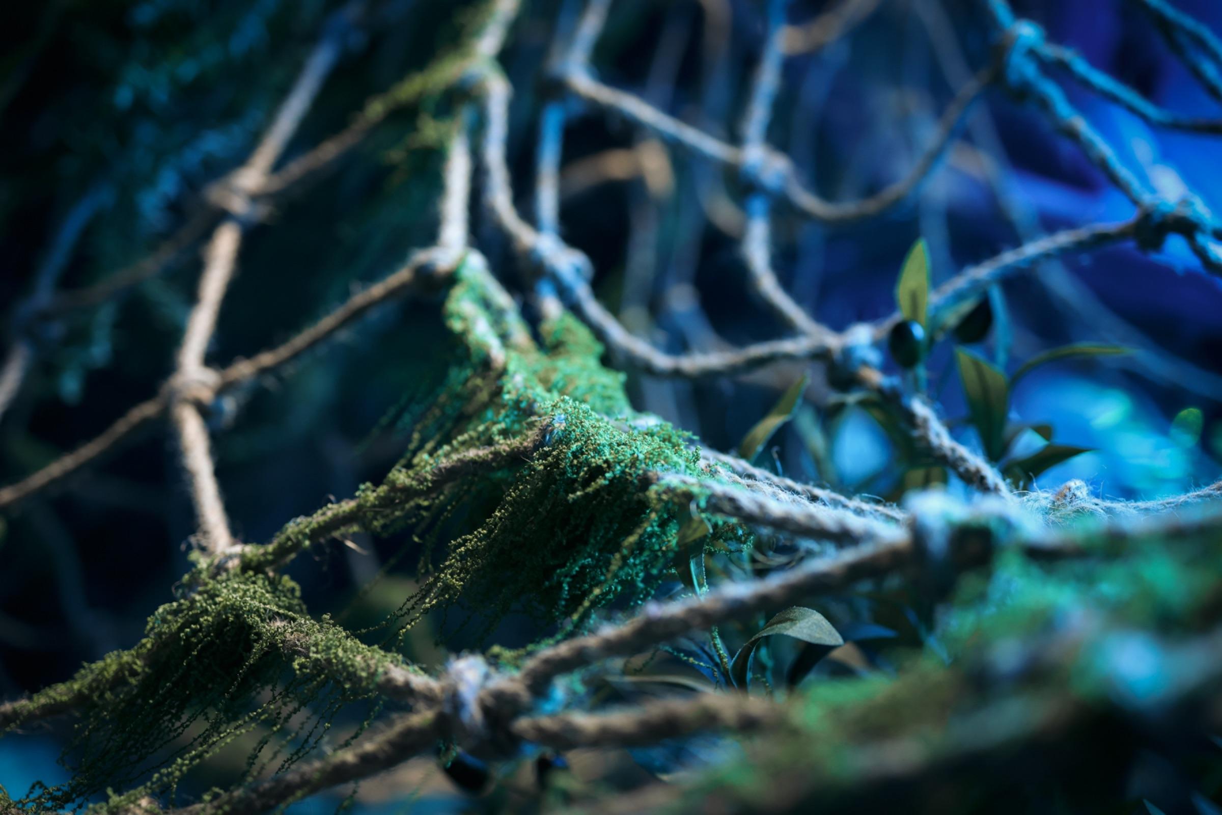Uncharted Water thumbnail 8