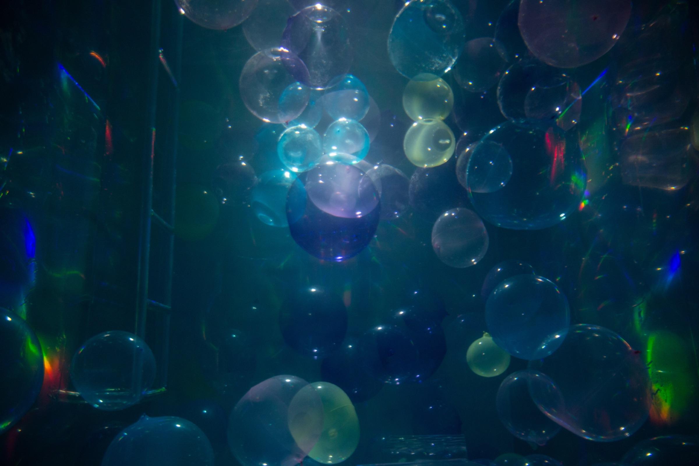 D1 - Dream Pool thumbnail 8