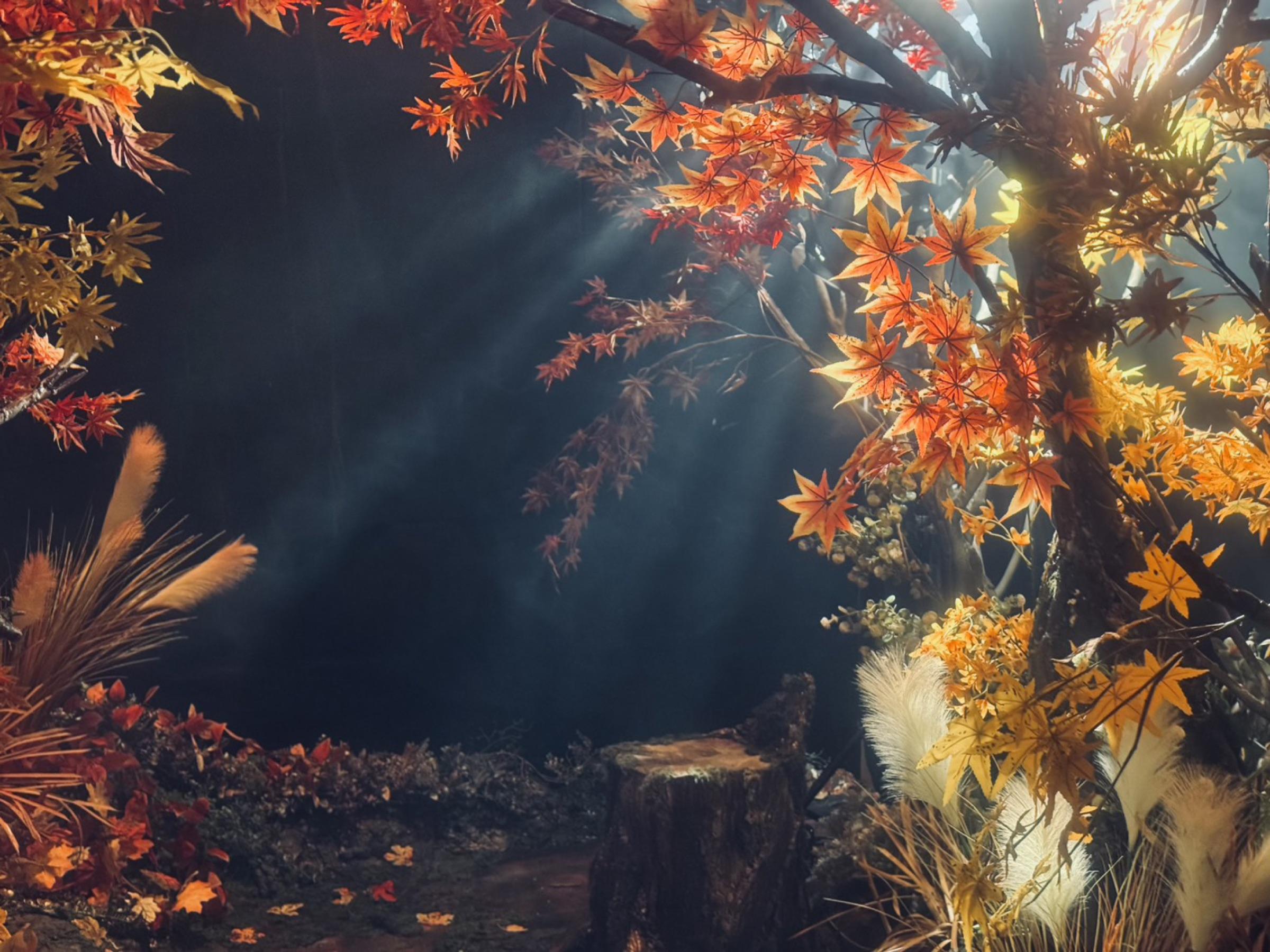 D1 - Relics of Amberfall thumbnail 11