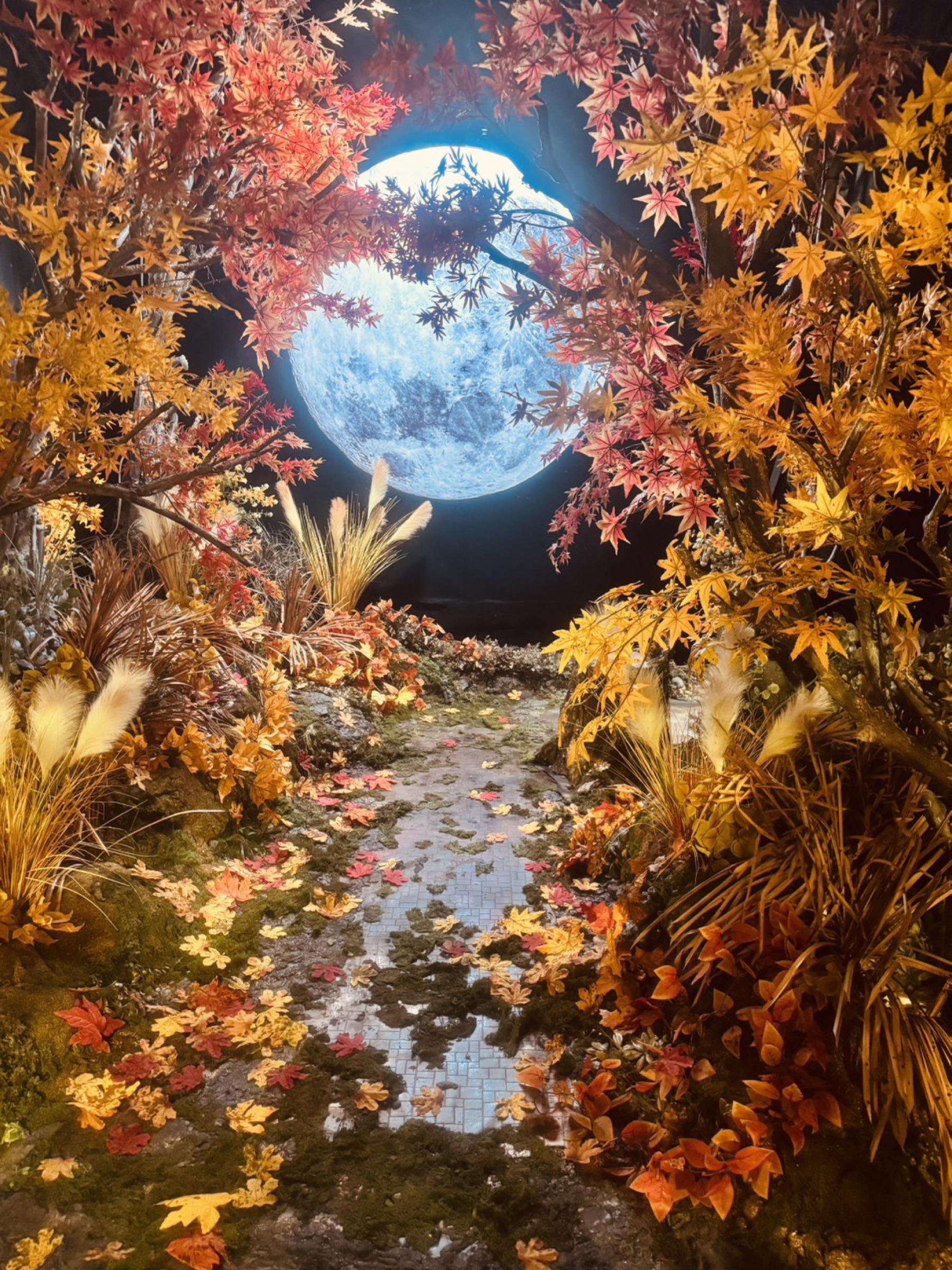 D1 - Relics of Amberfall thumbnail 13