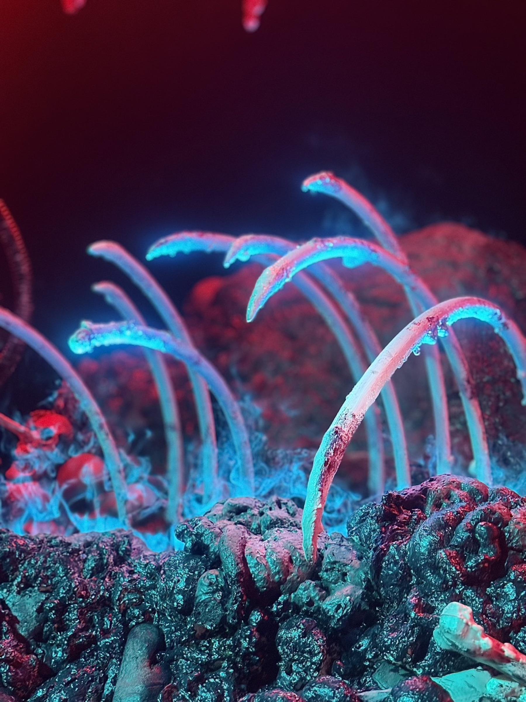 D2 - Abyssus Ossium thumbnail 11
