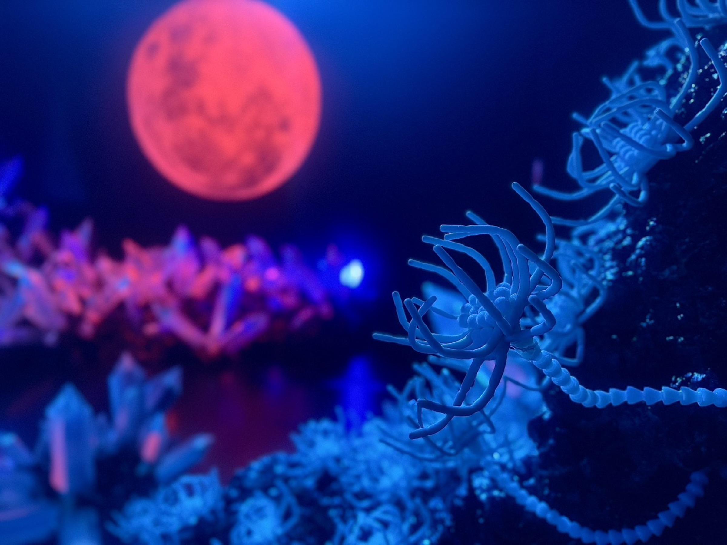 D2 - Abyssus Ossium thumbnail 7
