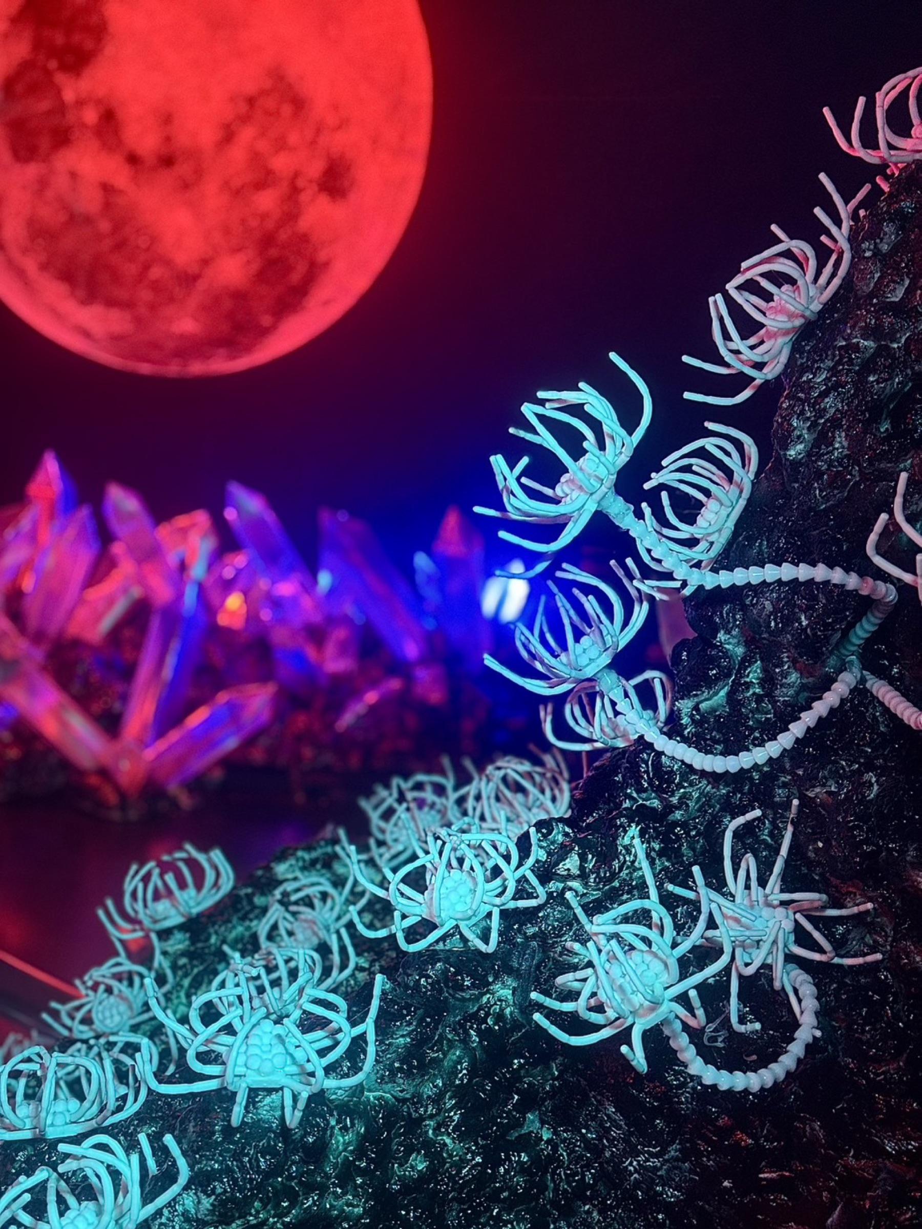 D2 - Abyssus Ossium thumbnail 8