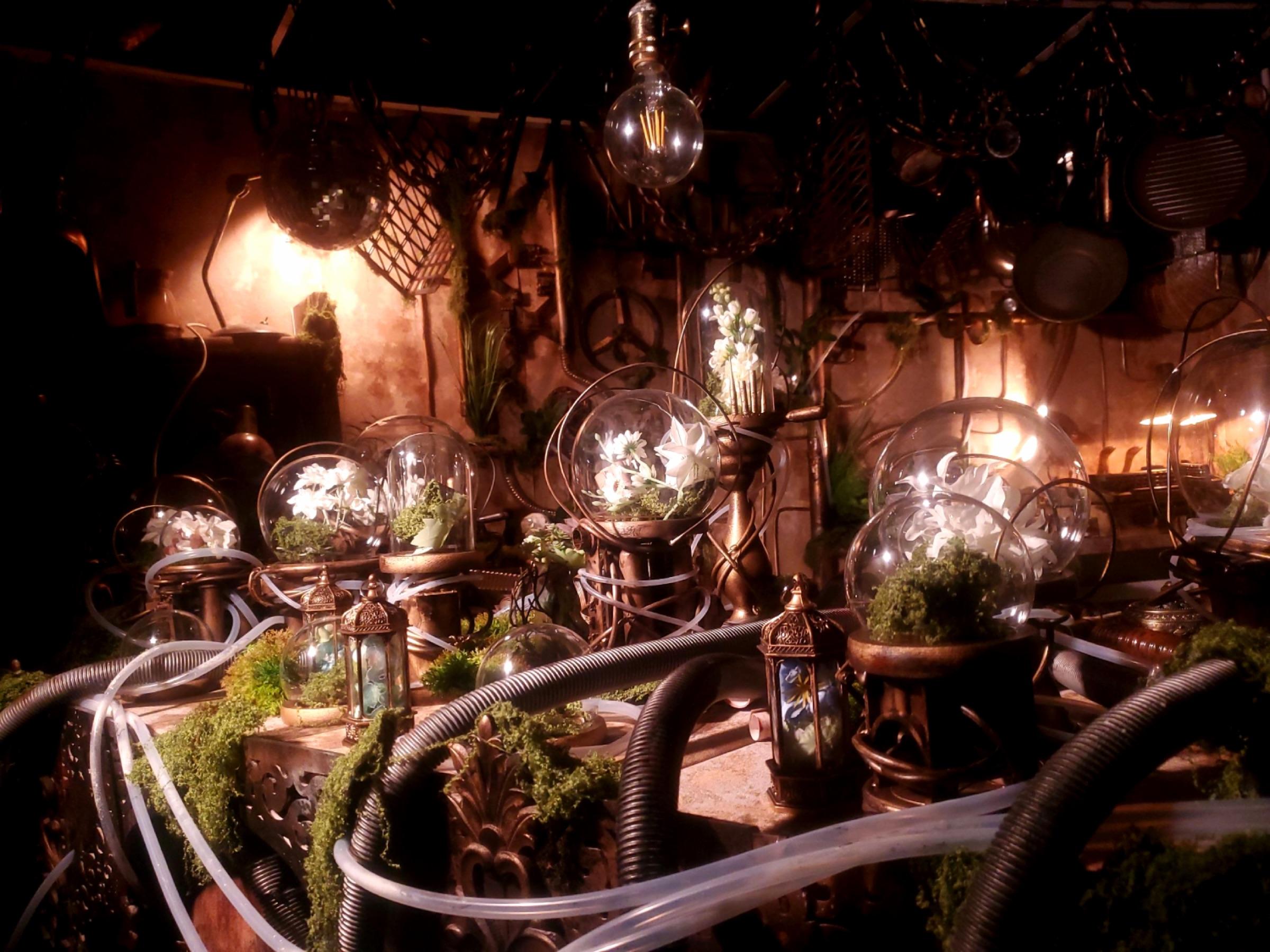 D2 - Steampunk Verdant Lab thumbnail 5