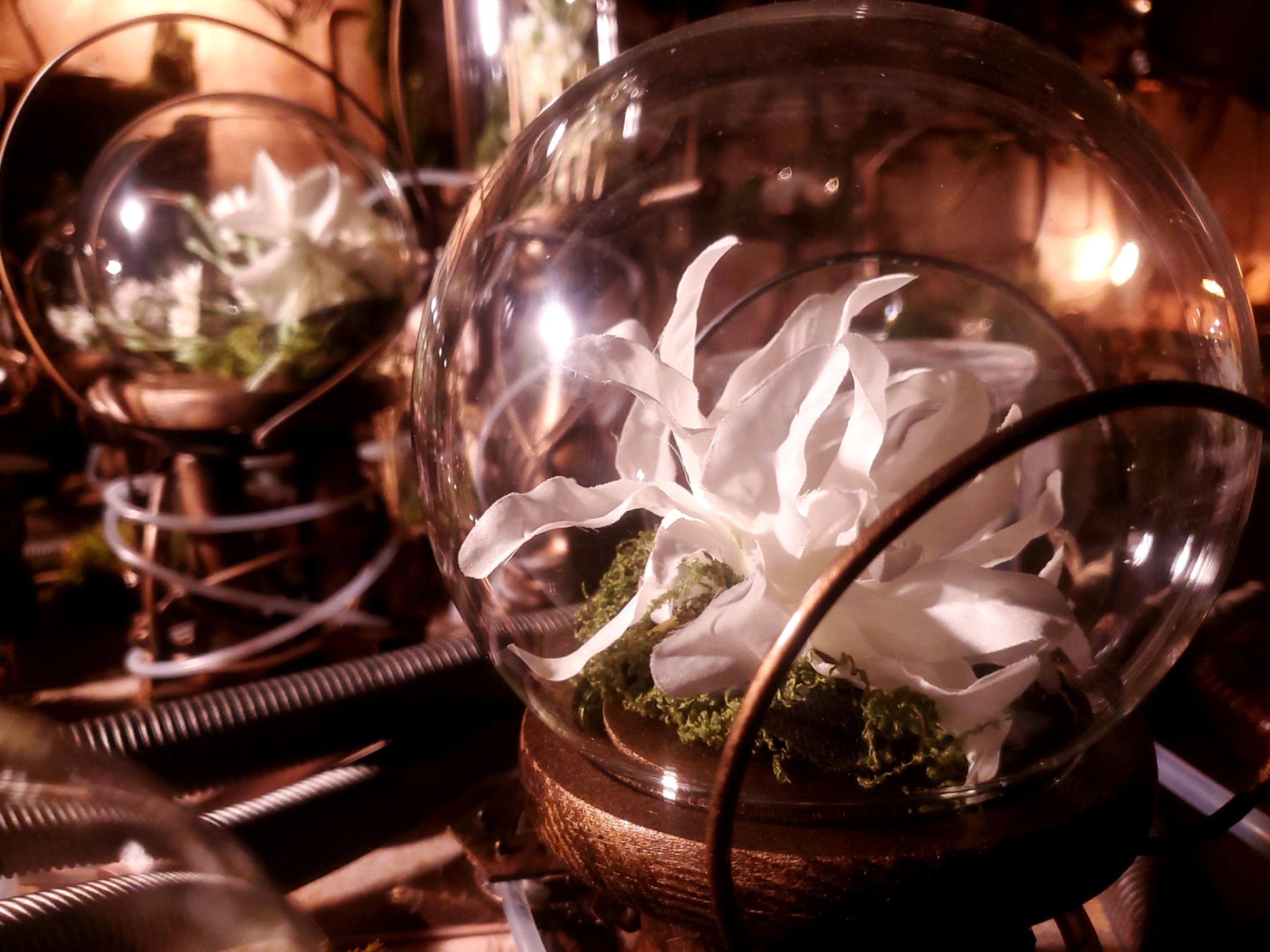 D2 - Steampunk Verdant Lab thumbnail 6