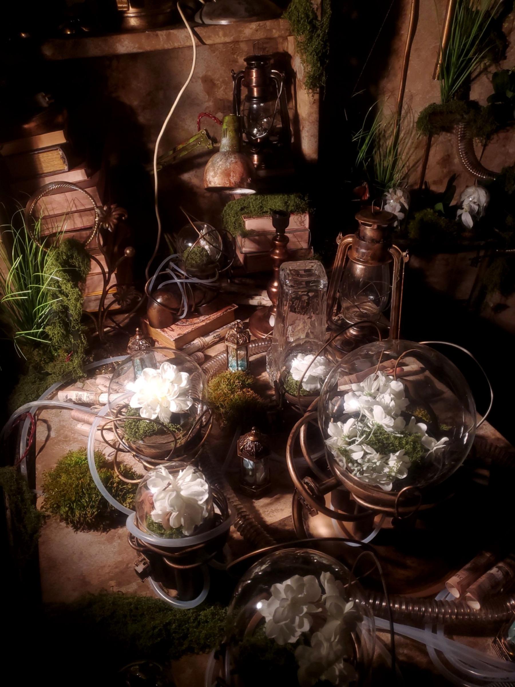 D2 - Steampunk Verdant Lab thumbnail 7