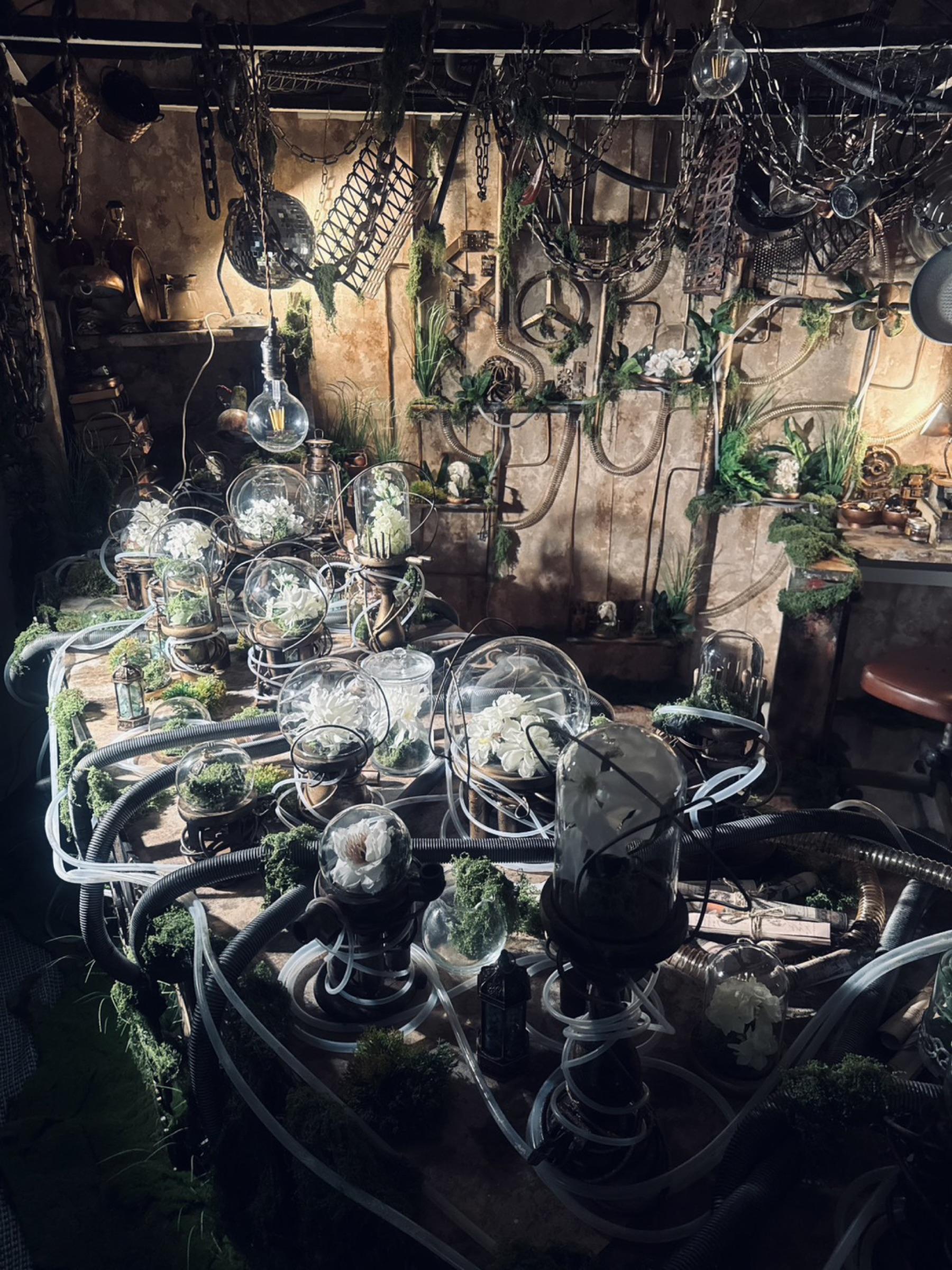 D2 - Steampunk Verdant Lab thumbnail 9