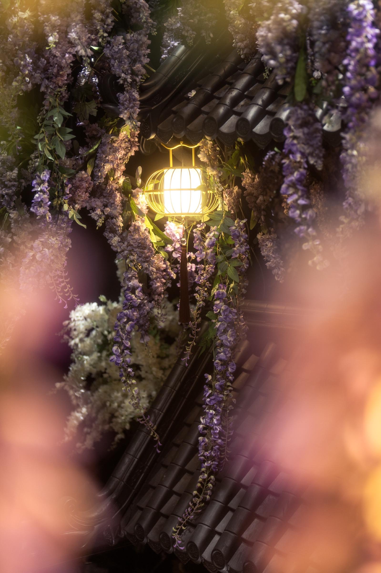 Leap Across the Eaves-Wisteria Courtyard thumbnail 15